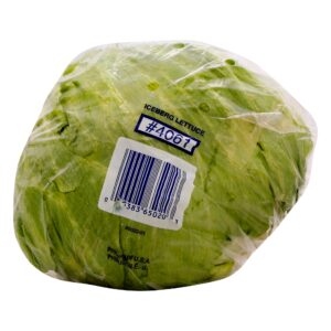 Lettuce Iceberg — each