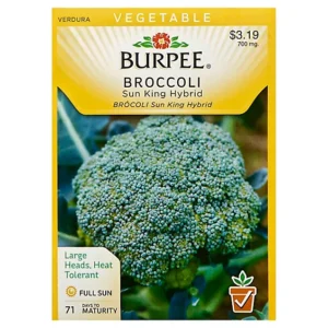 Broccoli — each